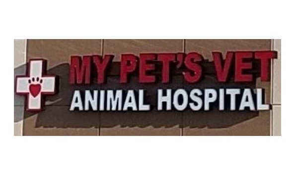 Big image my pet s vet