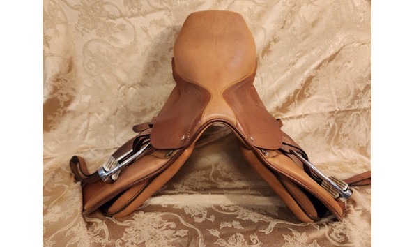 Big image 20230315 125403