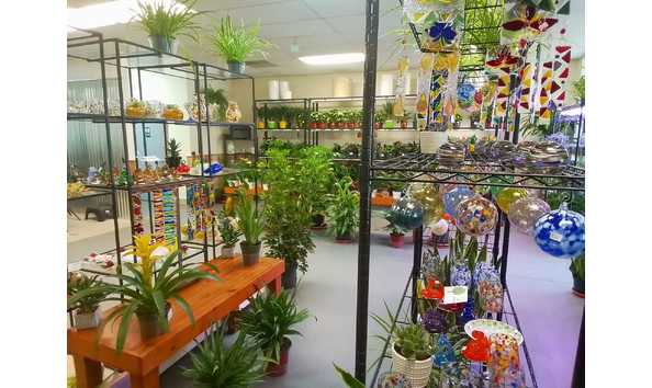 Big image glass garden glass and plants