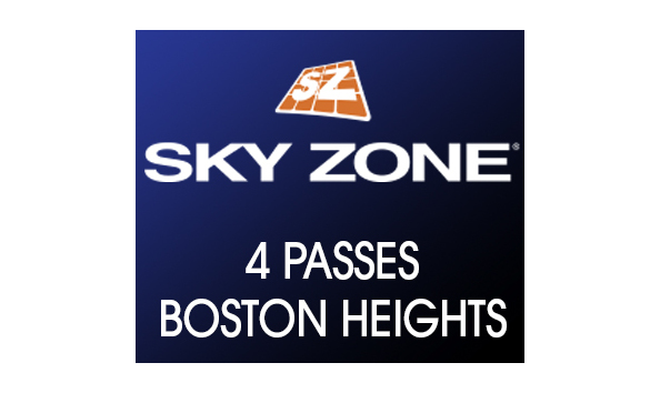 Big image 100.skyzone