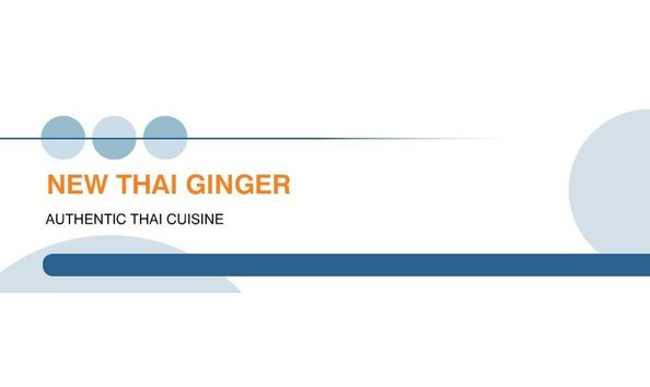 Big image thai ginger logo