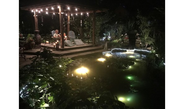 Big image big image pond picture 3