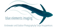Sponsor logo blue elements imaging tanya houppermans logo
