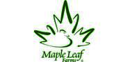 Sponsor logo mlf